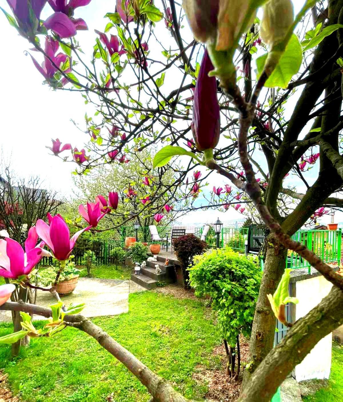 شقة Garden Free Parking سراييفو المظهر الخارجي الصورة